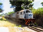 VLI 3852